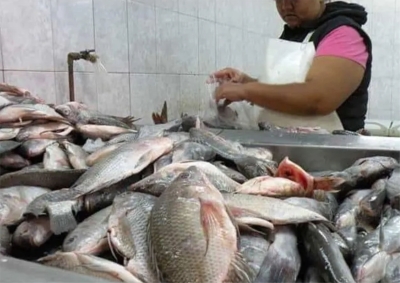 Se viene Semana Santa: ¿Cuánto aumentó el precio del pescado?