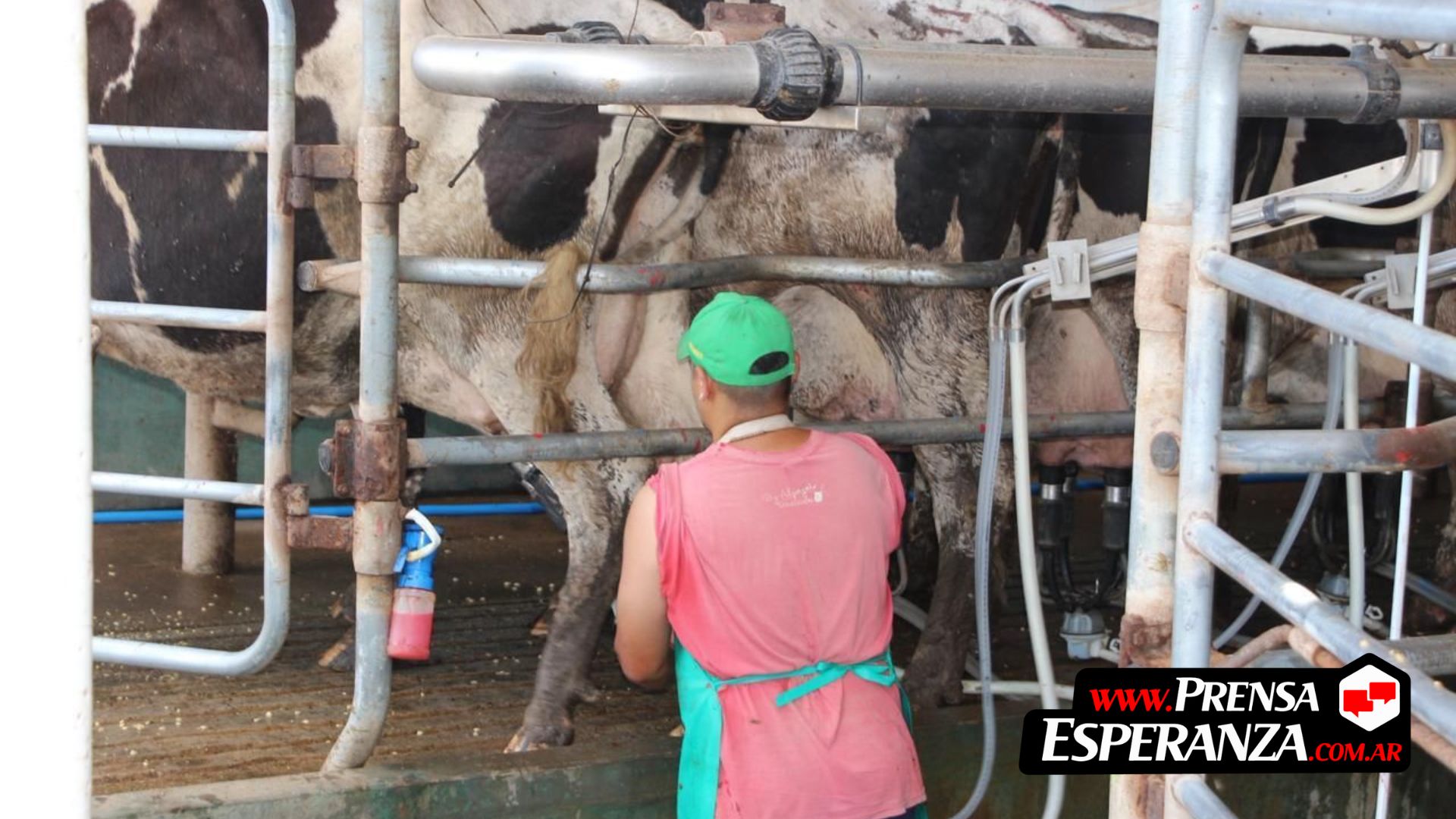 Santa Fe se afirma como líder de la producción y exportación láctea en Argentina